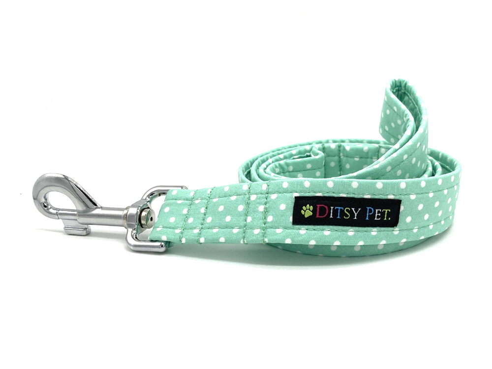 Mint Dog Collar Ditsy Dots