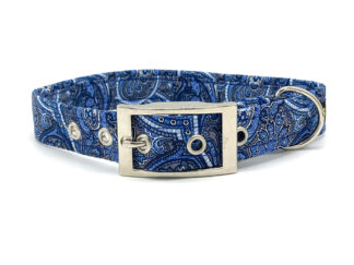 Traditional Buckle Dog Collar